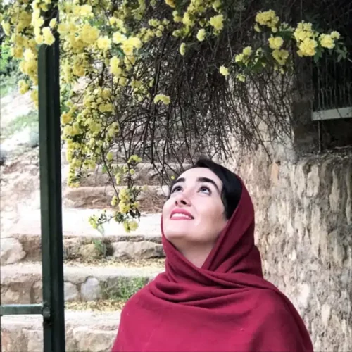 میترا شریفی - مشاور ابرادین