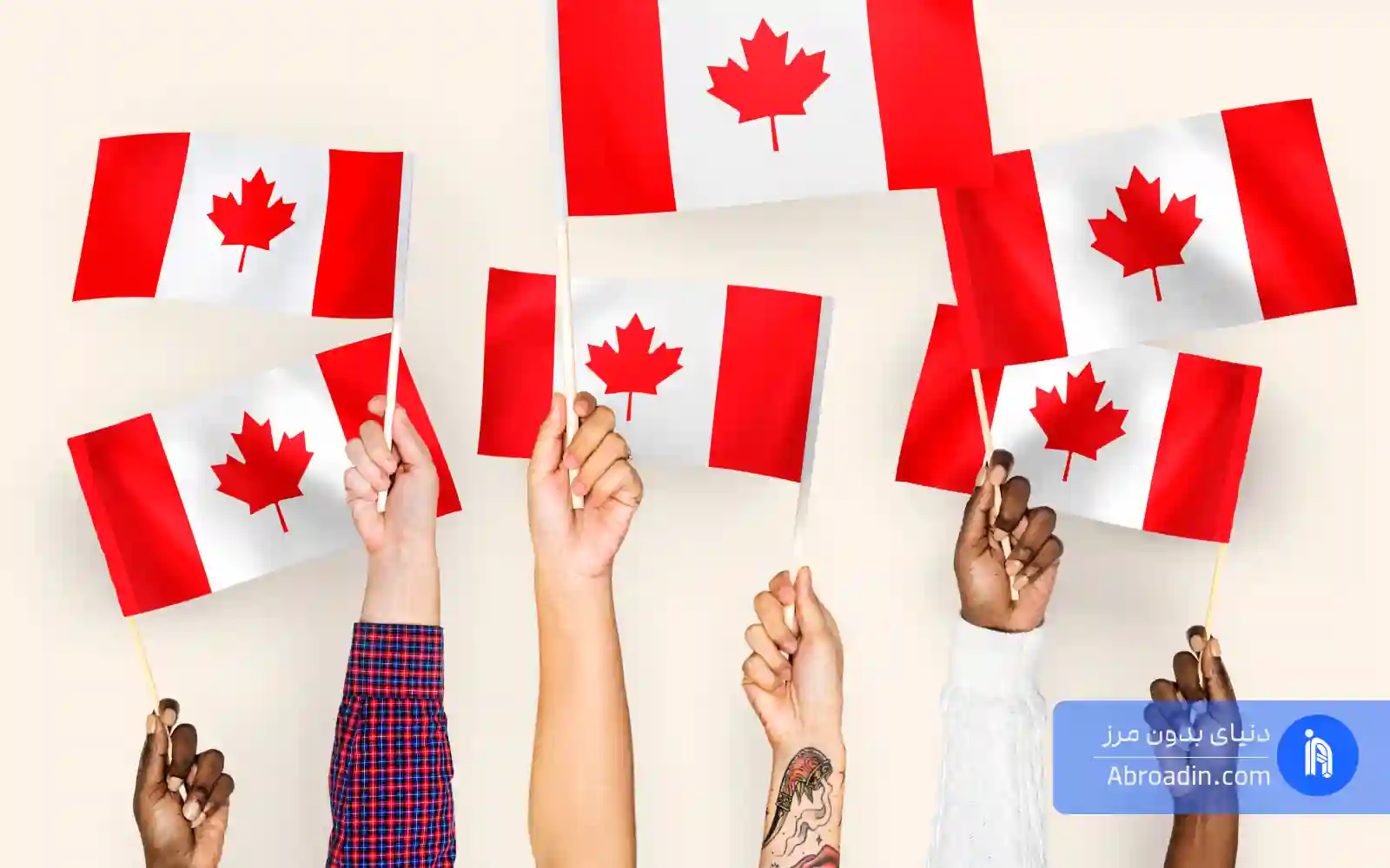 Study Permit PhD Canada دو هفته‌ای