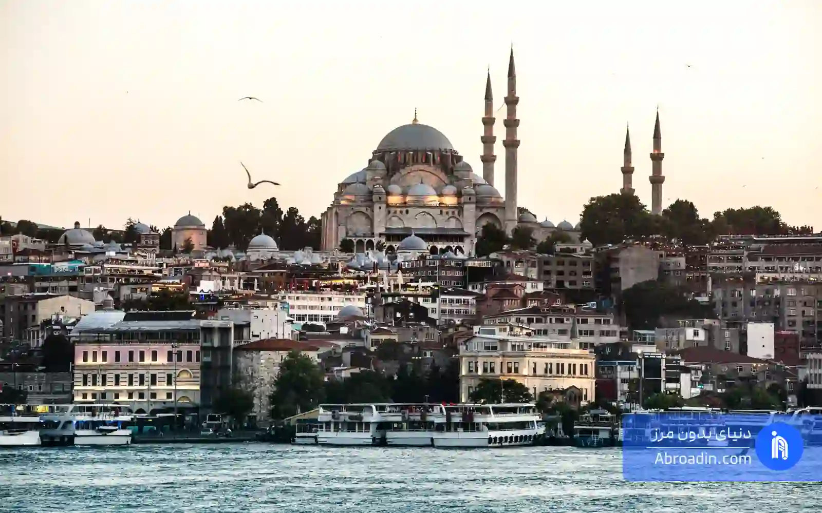 هزینه کارشناسی ترکیه