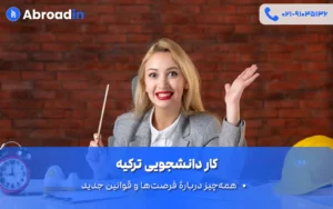 کار دانشجویی ترکیه